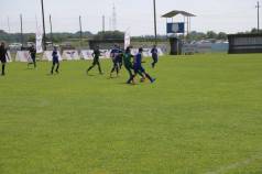 Mini IMG 8577